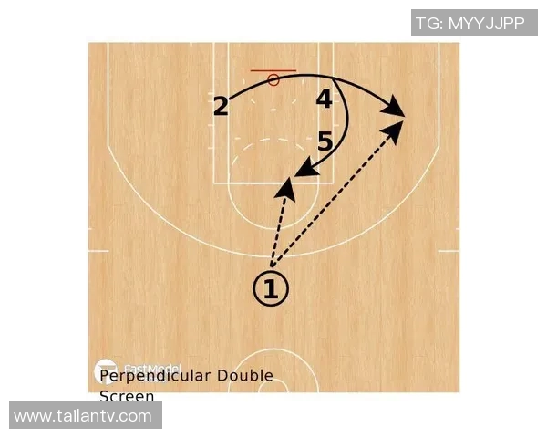 西安排球队阵地战的深度解析与战术运用探讨