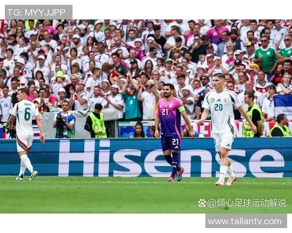 足球巨星C罗在绿茵场上的精彩瞬间与踢球技艺展示