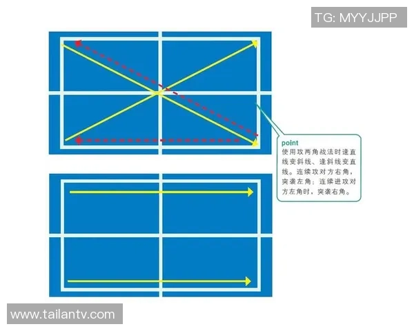 独家分析：成都乒乓球队的战术对比