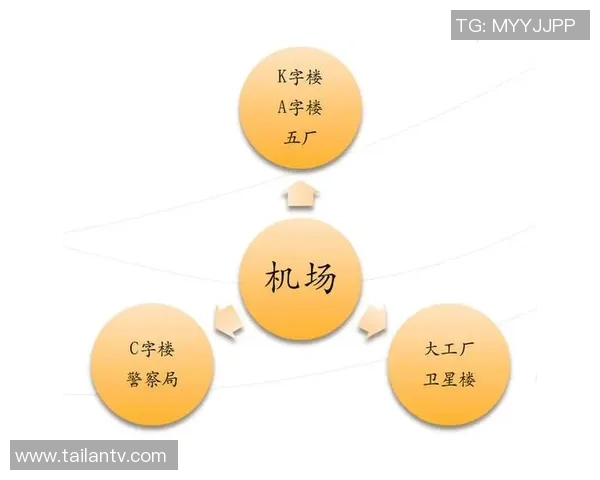 独家分析：深圳极限运动队的个人能力对比